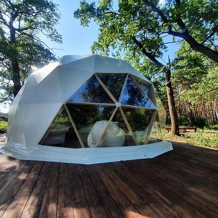 У Дачі Для Своїх Guest House Novyye Bezradichi Ngoại thất bức ảnh
