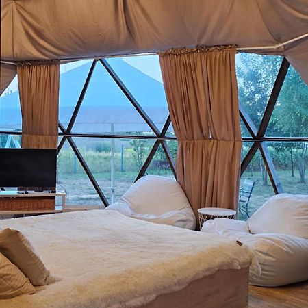 У Дачі Для Своїх Guest House Novyye Bezradichi Ngoại thất bức ảnh