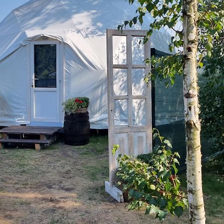У Дачі Для Своїх Guest House Novyye Bezradichi Ngoại thất bức ảnh